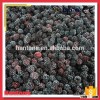 Export Dark Red IQF Whole Blackberry
