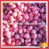 Fresh Frozen Strawberry Ready for Supply