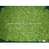 New crop IQF frozen green peas KOSHER