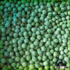 grade A high quality of iqf frozen green beans