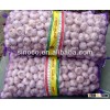 China cheap garlic 2015 Crop