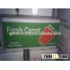 2016 Carrots from viet nam
