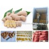 Vietnam Fresh ginger
