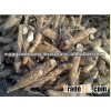 Thailand High Quality Organic Fresh Cassava for Sale
