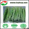 Green Asparagus Good Price