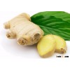 High Quality Fresh Organic Ginger