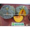 PREMIUM QUALITY- BEST PRICE OF FRESH PUMPKIN!
