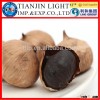 Chinese Organic Single Bulb Black Garlic
