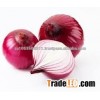 Red onion