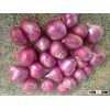 new crop 2014 fresh Red Shallot Onion
