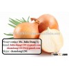 Yellow Onion Viet Nam