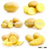 Big Size Chinese Potato