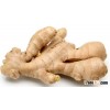 Wholesale organic fresh ginger price