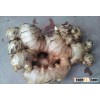 Fresh Ginger 100g-150g-200g-250g