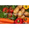 Good quality Chinese Potato