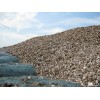 VIETNAM CASSAVA / TAPIOCA CHIP (skype &yahoo: visimex08)