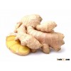 Supplier fresh ginger at the cheapest price