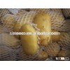fresh sweet potato 10kg Ctn