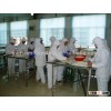 ISO Approved Fresh Vegetables Garlic flakes Factory Supply with Best Price