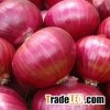 Fresh Yellow and Red Onion 2015