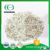 China Manufacturer Wholesale Promotional Freeze Dried Onion