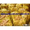 FRESH GINGER_CHEAPEST PRICE_HIGH QUALITY FROM VIETNAM