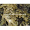Best Ginger, High Quality Ginger in Viet Nam 2015