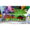 Seedless lemon high quality of Viet Nam