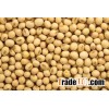 Quality Soybeans