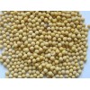 NON-GMO / Organic Soybean / Soya bean)
