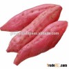 FRESH SWEET POTATO / FROZEN SWEET POTATO