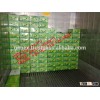 fresh lemon high quality seedless Gimex VN 2015