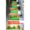 fresh lemon high quality seedless Gimex