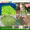 2016 new product frozen bulk soy green beans