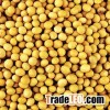 soybeans for sale