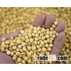Soya Bean best 2015