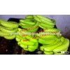 Fresh Vietnamese Bananas high quality 2015