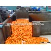 fresh Carrot new havest 2016