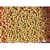 Fine Quality Soybeans and oils