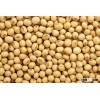 GRADE A SOYBEANS FOR SALE !!.