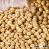 Yellow Soybeans