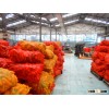 VIETNAM FRESH CARROT