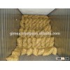 Ginger Viet Nam 2015- 2016, Best Price