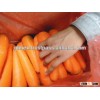 Fresh Carrots, exporting to Dubai market 2016