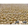 Well Picked and Cleaned Soybeans For Sale
