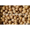 yellow soya beans