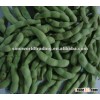 frozen green soybean for sale