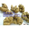FRESH PURPLE GINGER