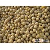 Soybean - www.agriprices.com - Contact Us For Small & Large Orders