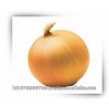 Dehydrated Onion Exporter from India